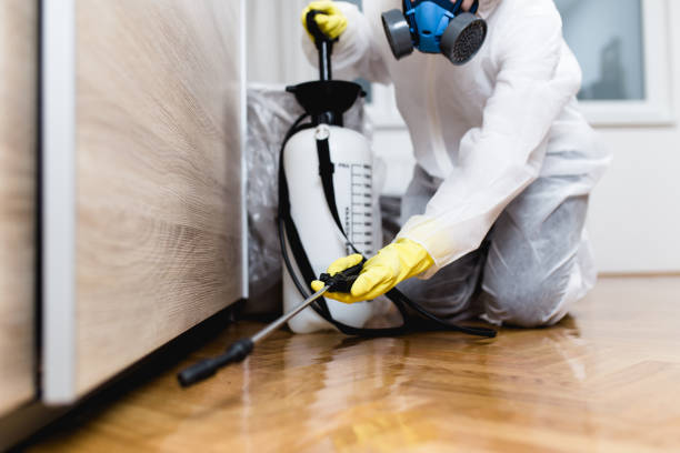 Best Pest Inspection Near Me  in Coopersburg, PA