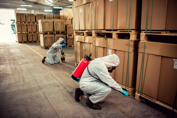 Best Mosquito Control Services  in Coopersburg, PA