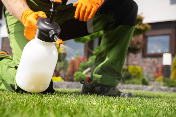 Best Pest Control Treatment  in Coopersburg, PA