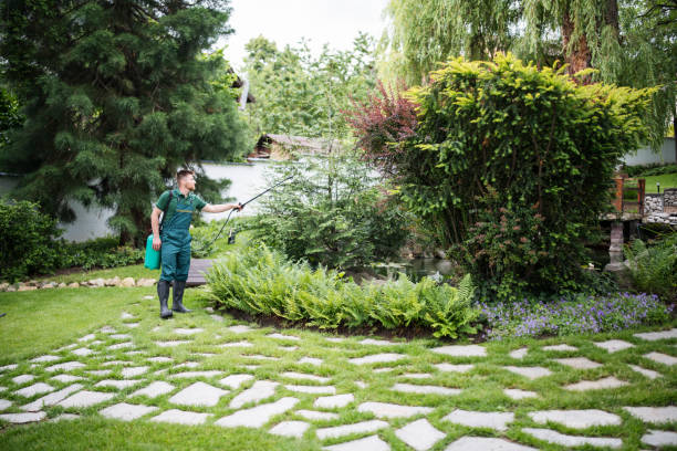 Best Pest Control for Restaurants  in Coopersburg, PA