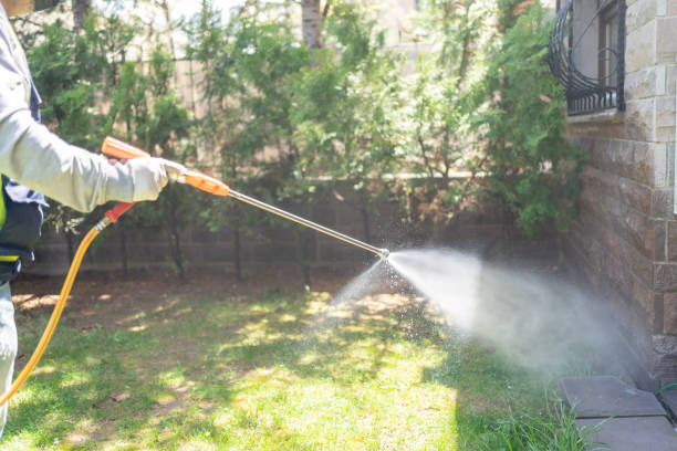 Best Pest Removal Services  in Coopersburg, PA