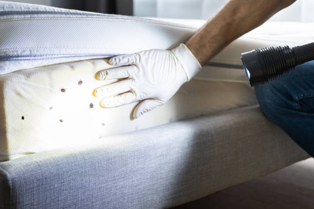 Best Insect Control  in Coopersburg, PA