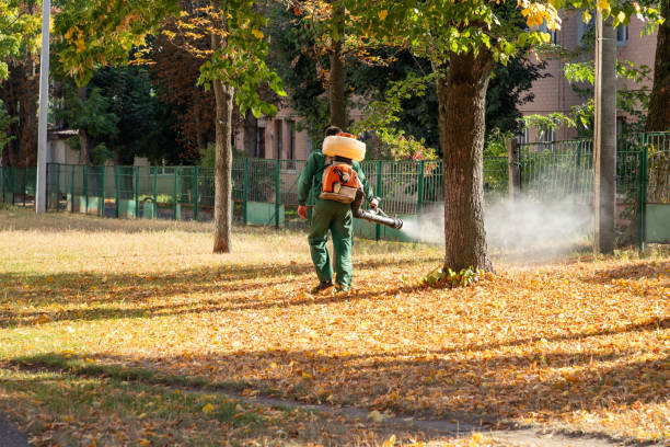 Best Affordable Pest Control Services  in Coopersburg, PA