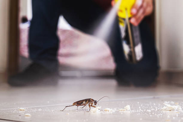 Best Local Pest Control Services  in Coopersburg, PA