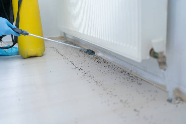 Best Wildlife Control Services  in Coopersburg, PA