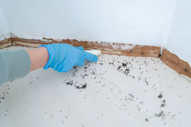 Best Pest Prevention Services  in Coopersburg, PA